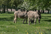 img47